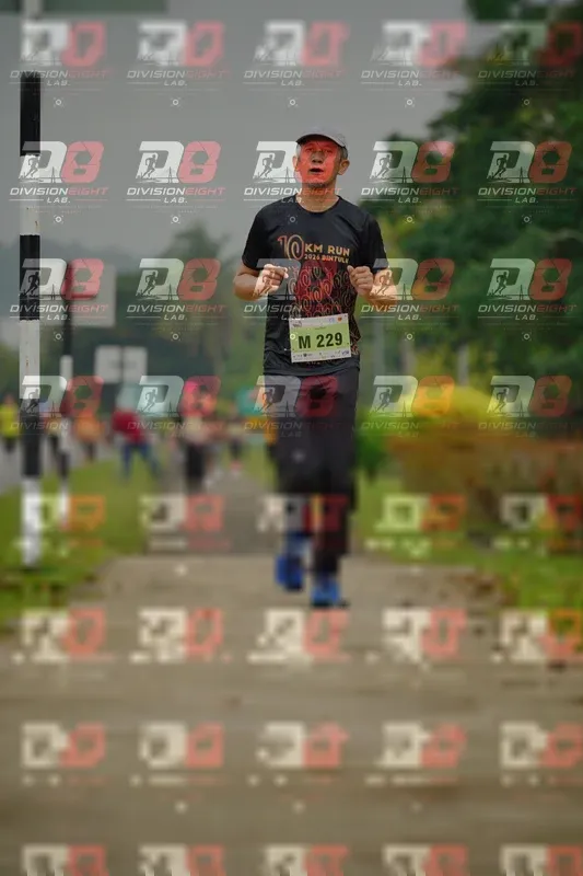Photo ID 8505333
