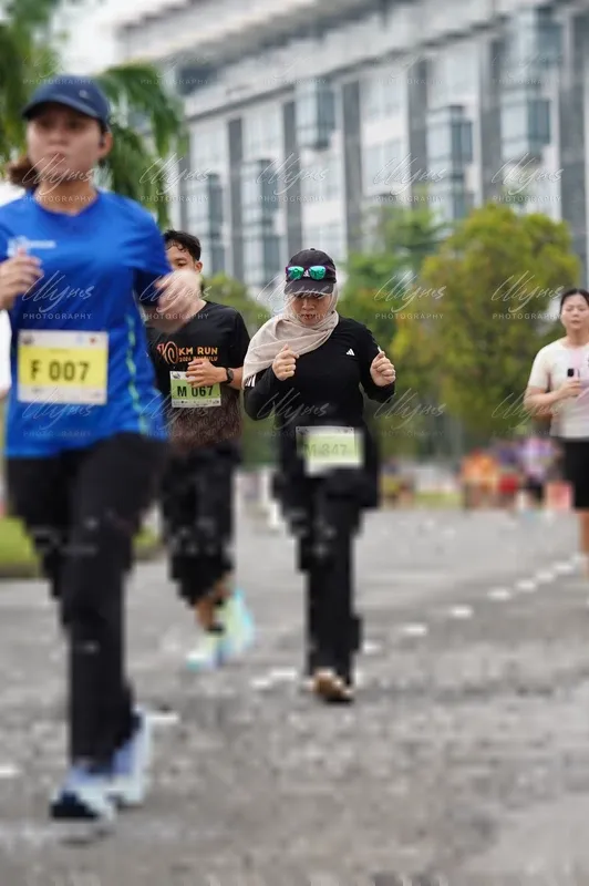 Photo ID 8505991