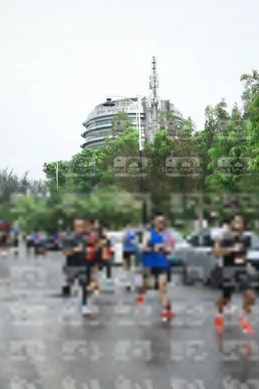 Photo ID 8507930