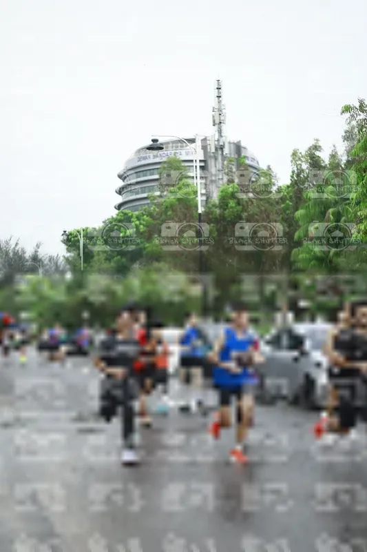 Photo ID 8507937