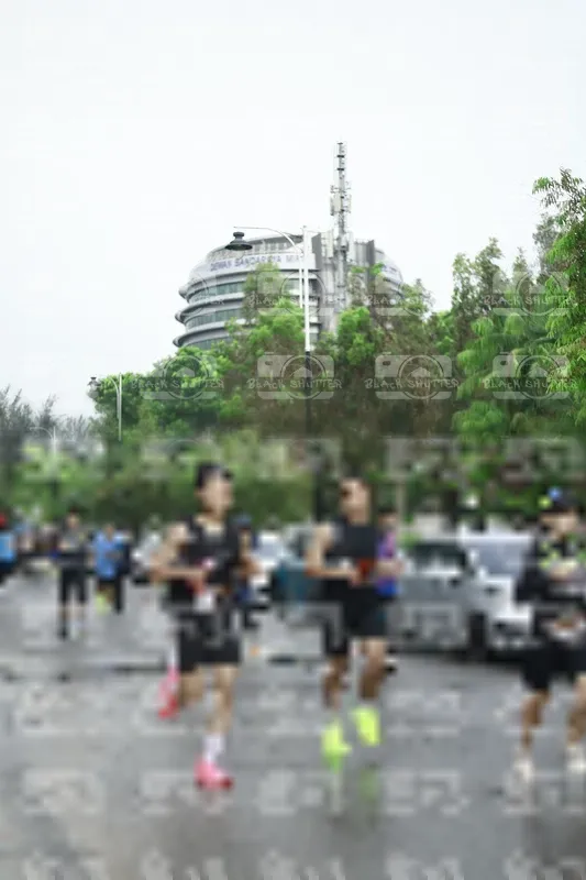 Photo ID 8507989