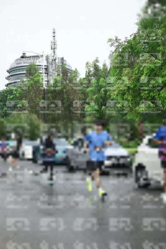 Photo ID 8508048