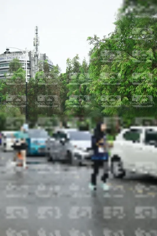 Photo ID 8508064