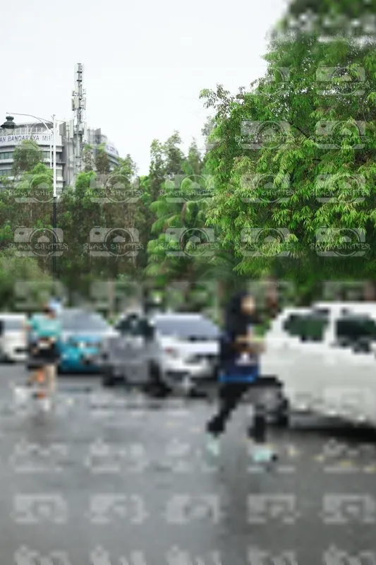 Photo ID 8508066