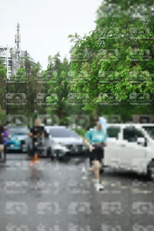 Photo ID 8508069