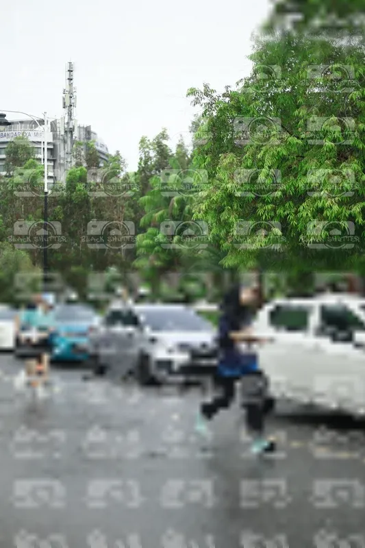 Photo ID 8508078