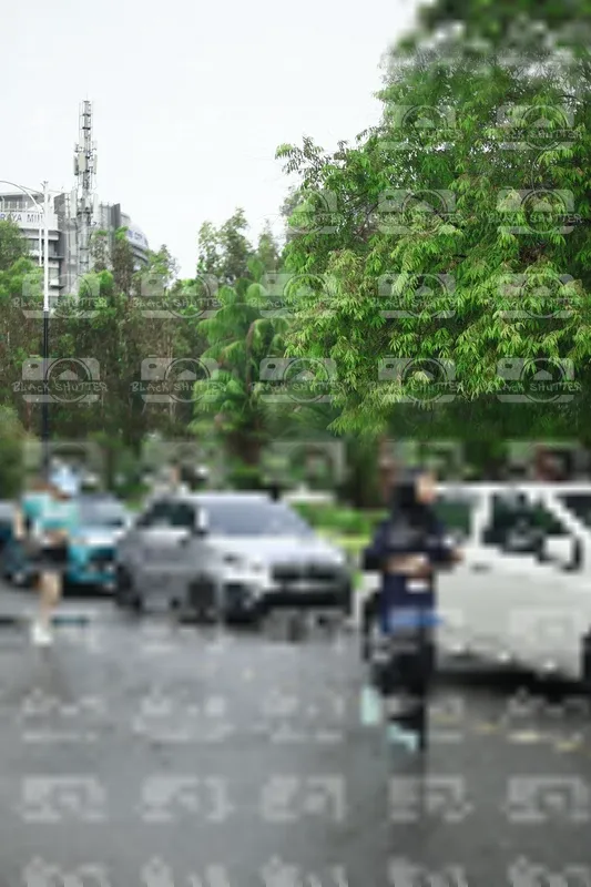 Photo ID 8508080
