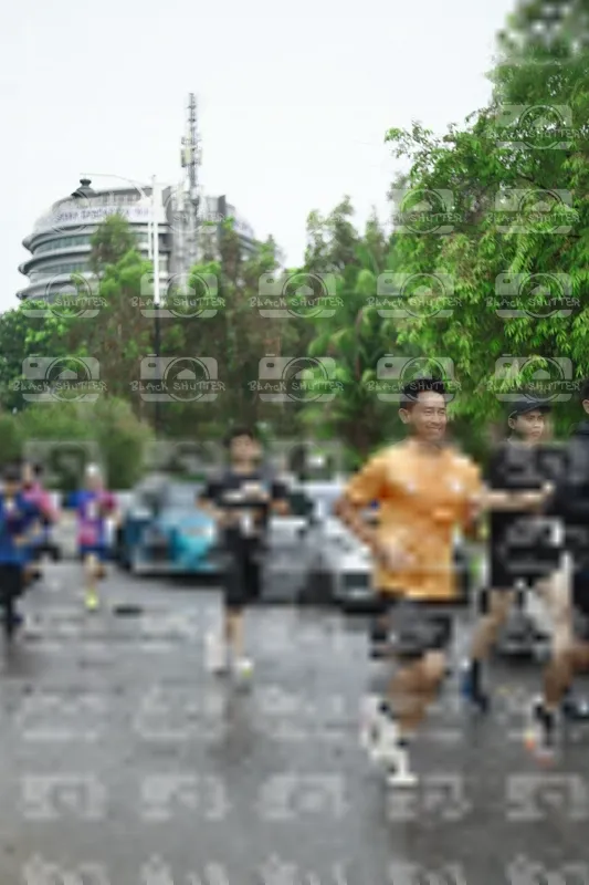 Photo ID 8508096
