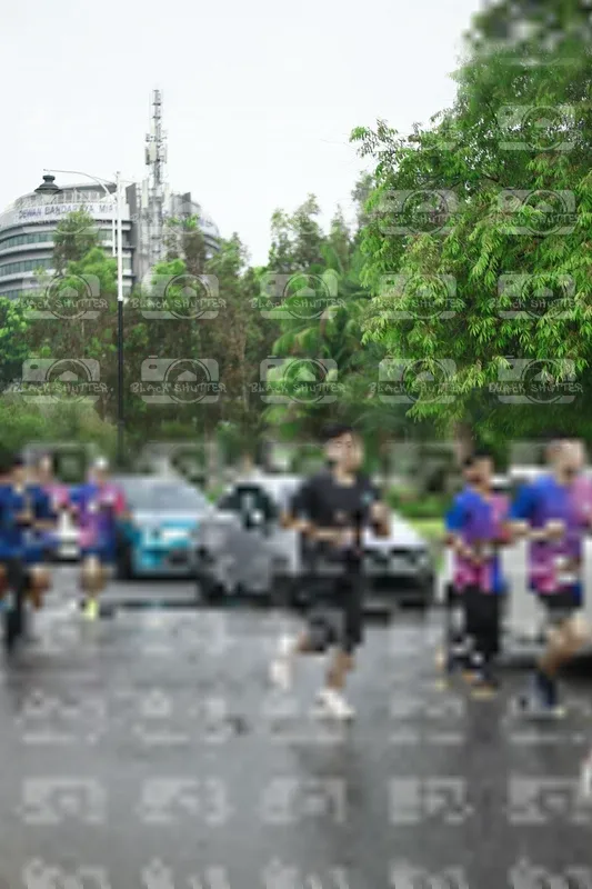 Photo ID 8508108