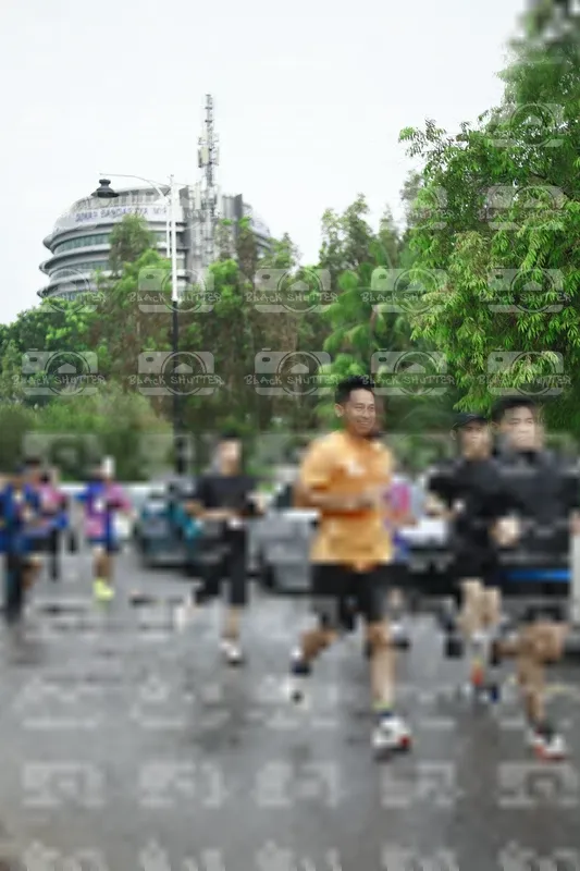 Photo ID 8508112