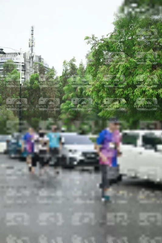 Photo ID 8508454