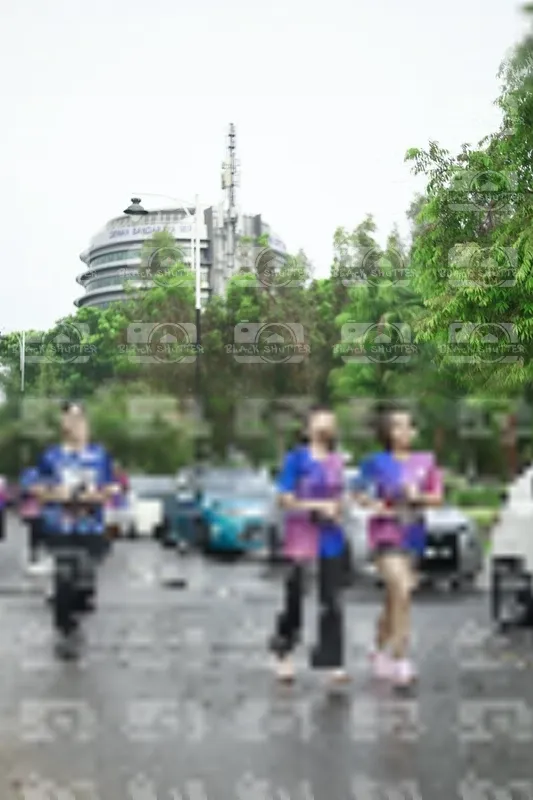 Photo ID 8508489