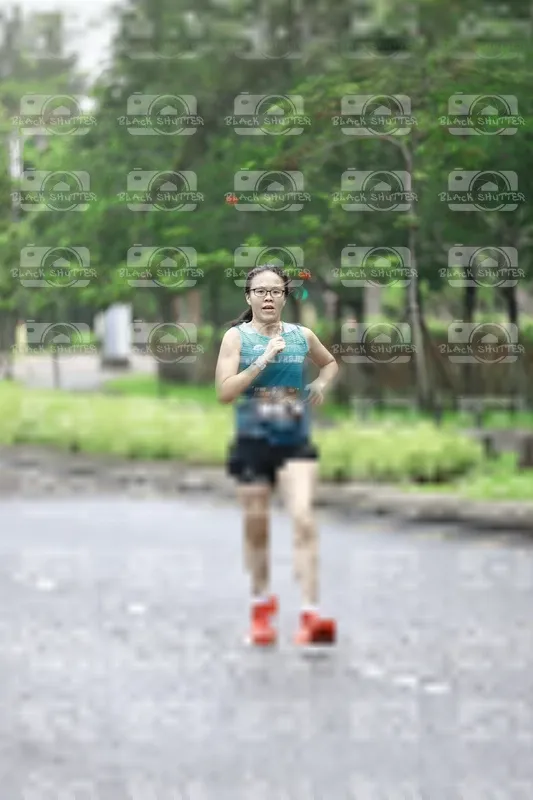 Photo ID 8509142