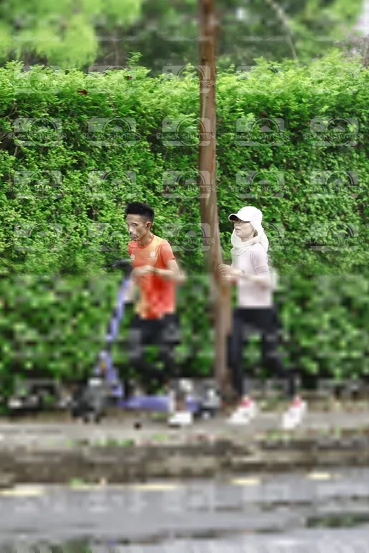 Photo ID 8509151
