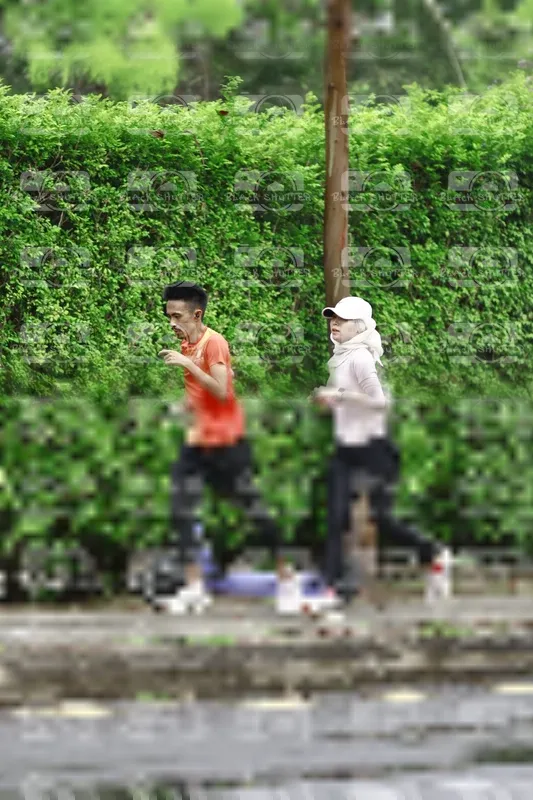 Photo ID 8509166