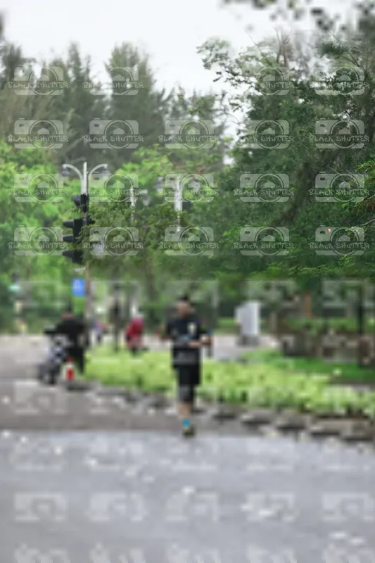 Photo ID 8509219