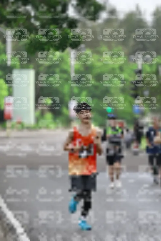 Photo ID 8509274