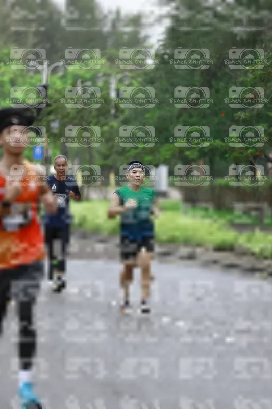 Photo ID 8509291