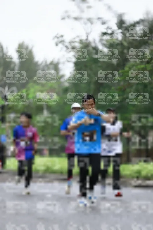 Photo ID 8510003