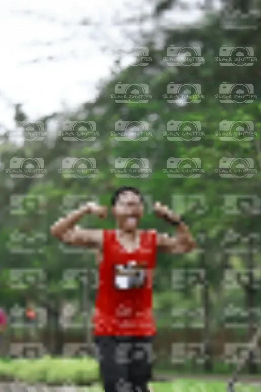 Photo ID 8510093