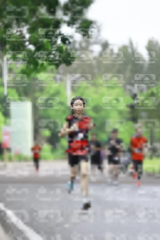 Photo ID 8510119
