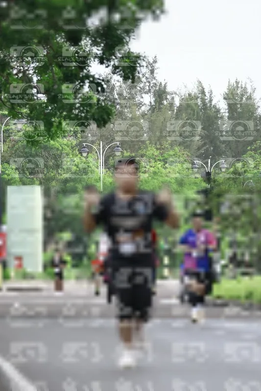 Photo ID 8510230