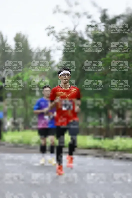 Photo ID 8510279