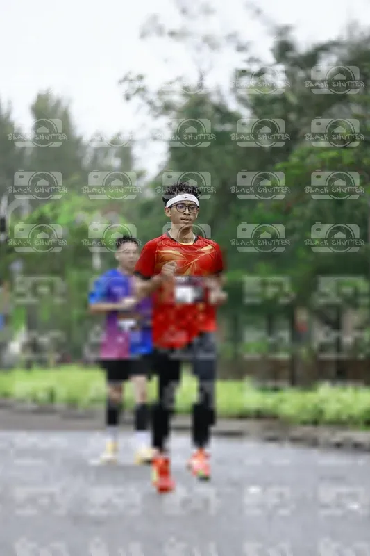 Photo ID 8510288