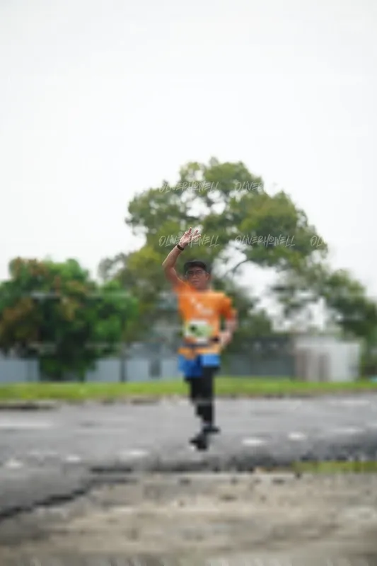 Photo ID 8510434
