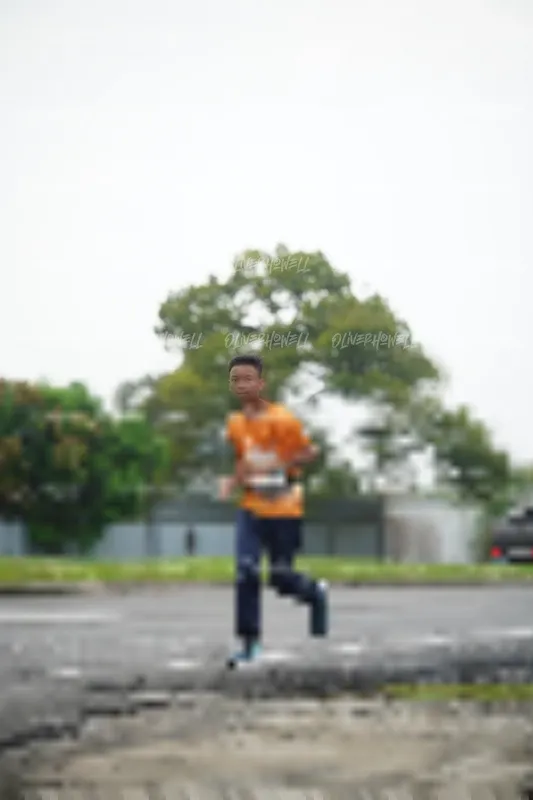 Photo ID 8510530