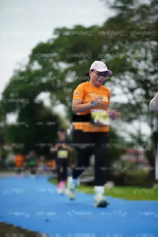 Photo ID 8513516