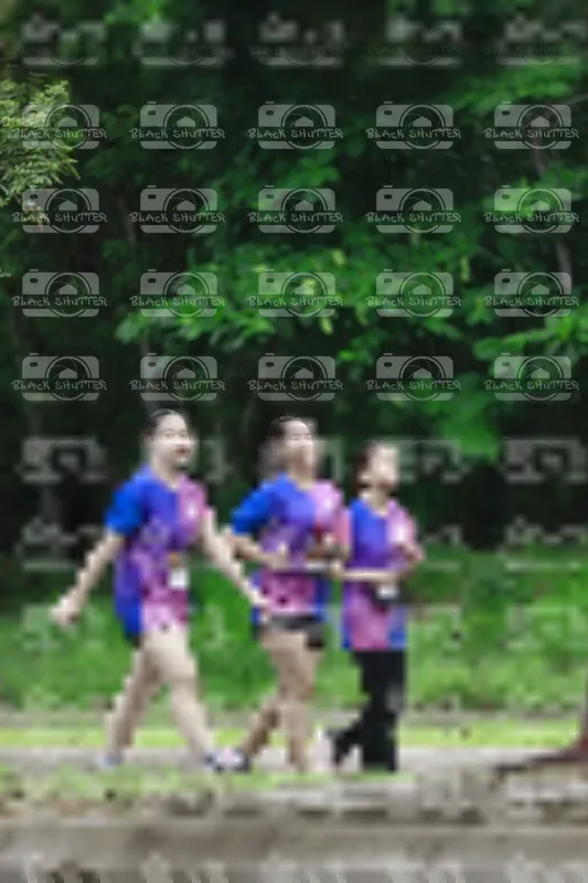 Photo ID 8514453