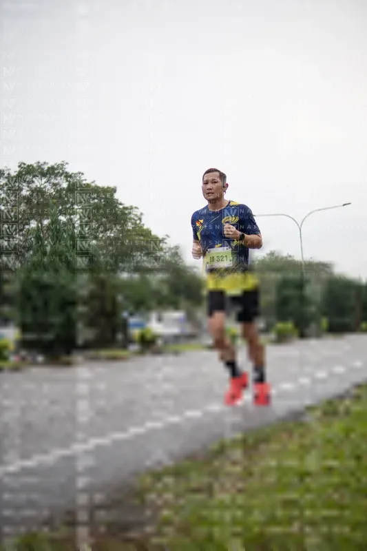 Photo ID 8515655