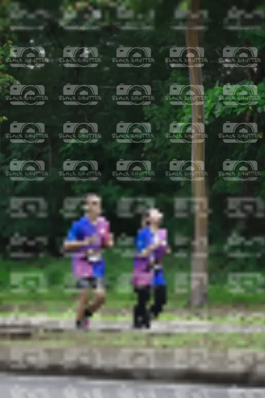 Photo ID 8516074