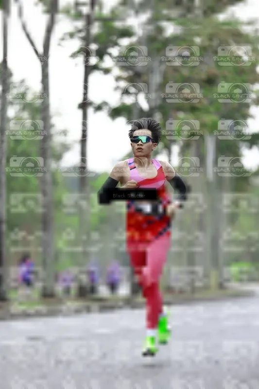 Photo ID 8516253