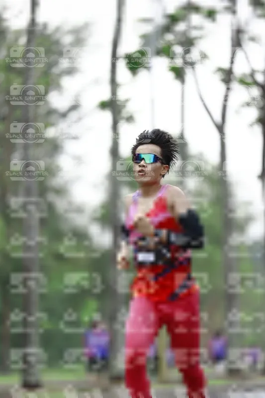 Photo ID 8516270