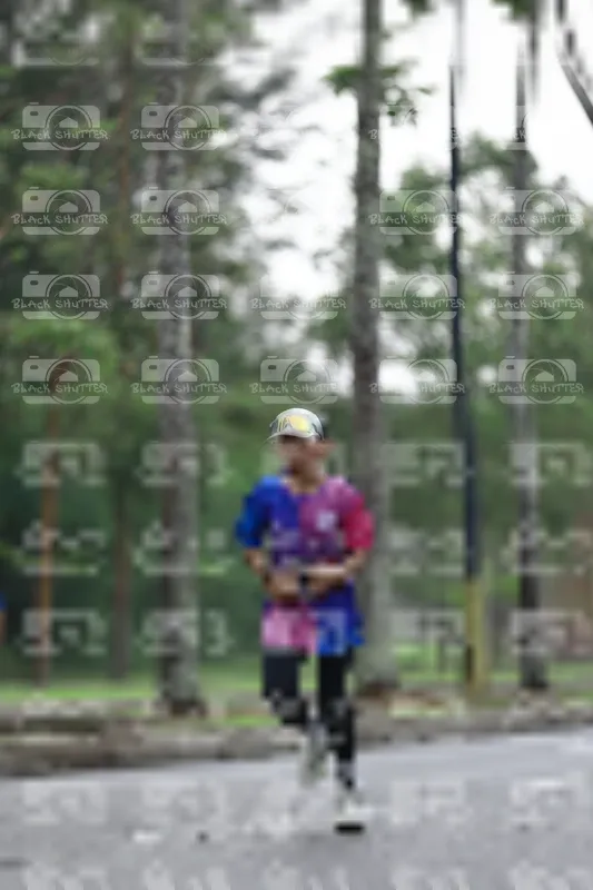 Photo ID 8516458