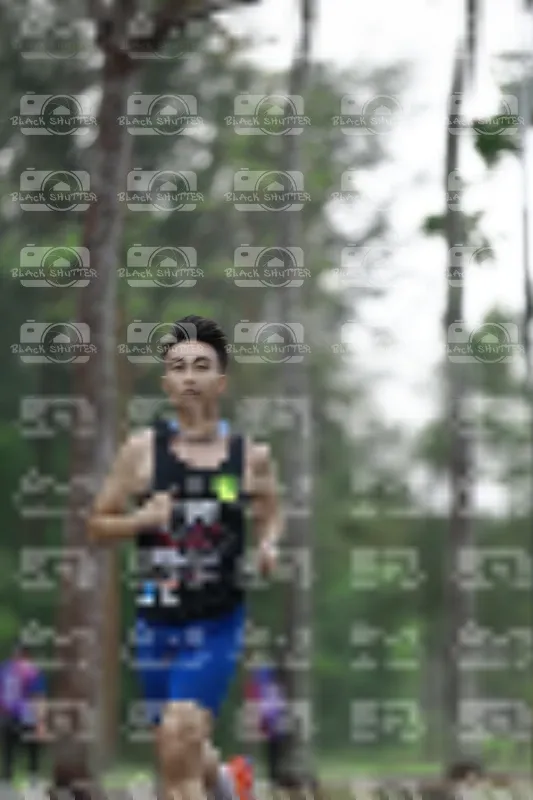 Photo ID 8516979