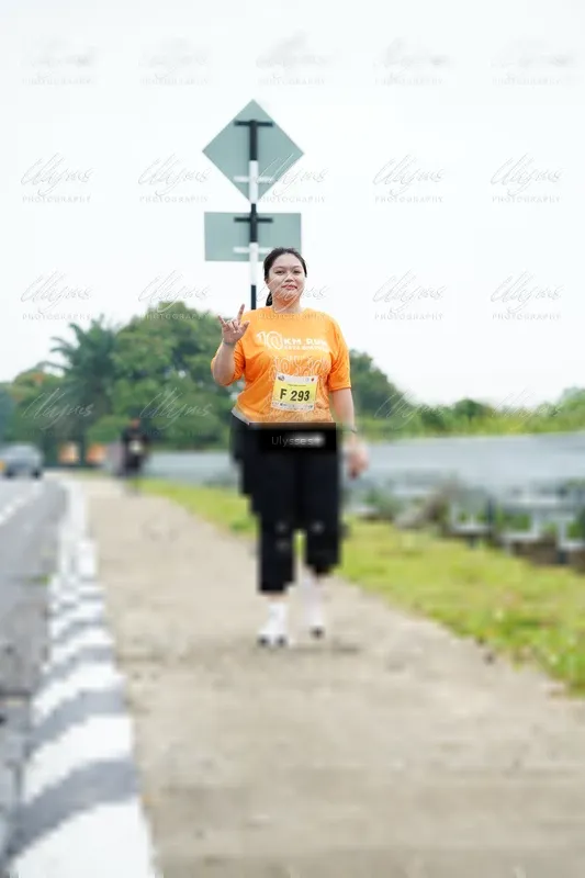 Photo ID 8516993