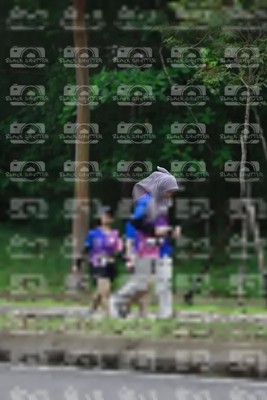 Photo ID 8517046