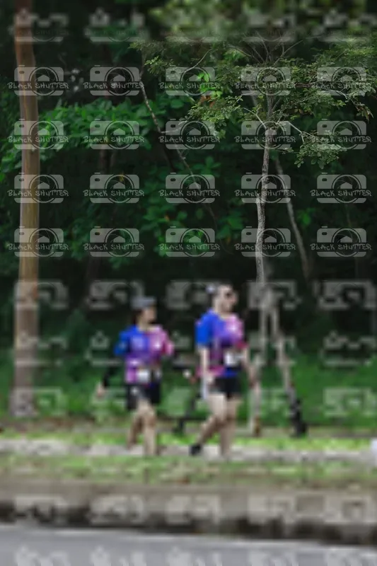 Photo ID 8517061