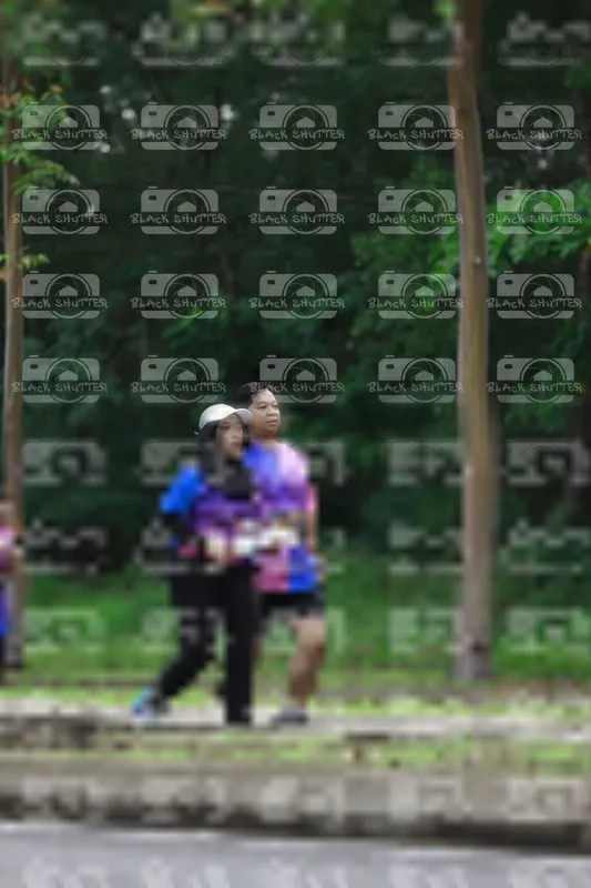 Photo ID 8517075