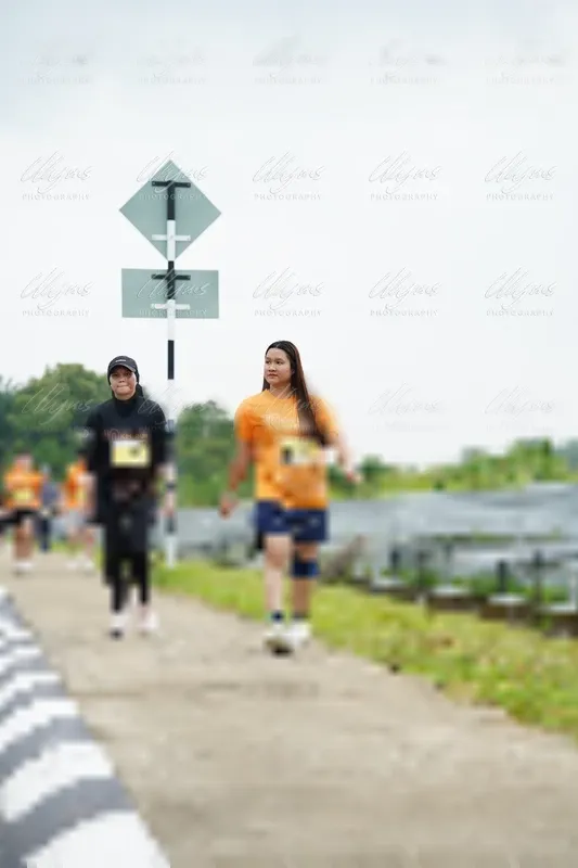 Photo ID 8517241