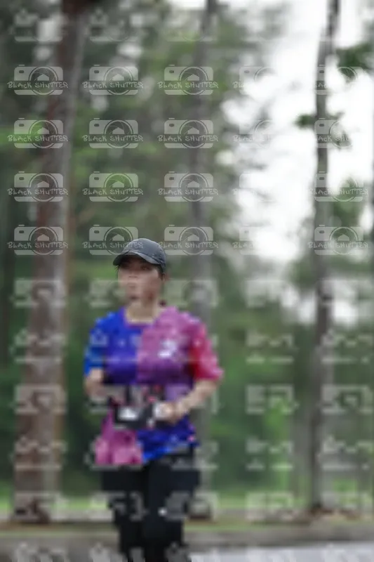 Photo ID 8517423