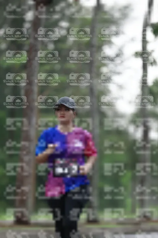 Photo ID 8517435
