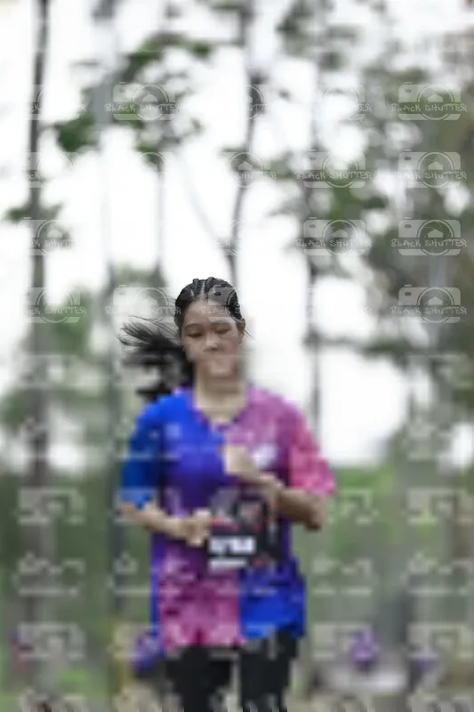Photo ID 8517605
