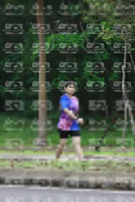Photo ID 8518392