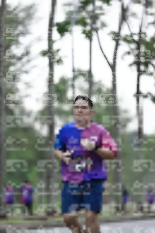 Photo ID 8521593