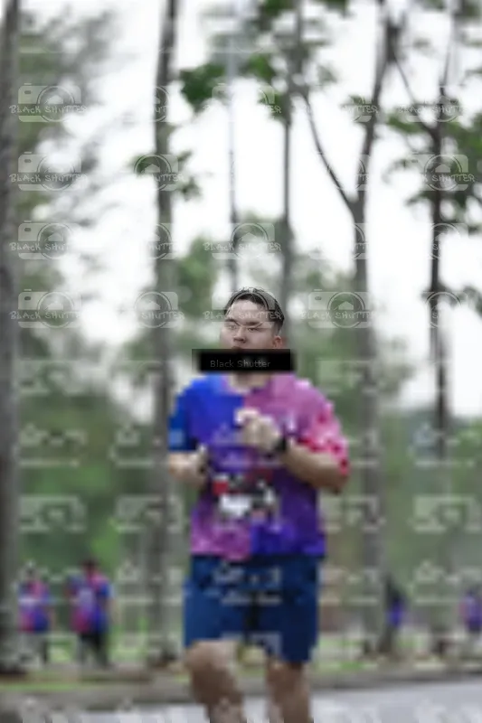 Photo ID 8521613