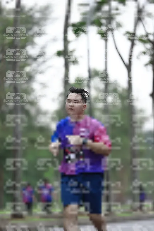 Photo ID 8521651